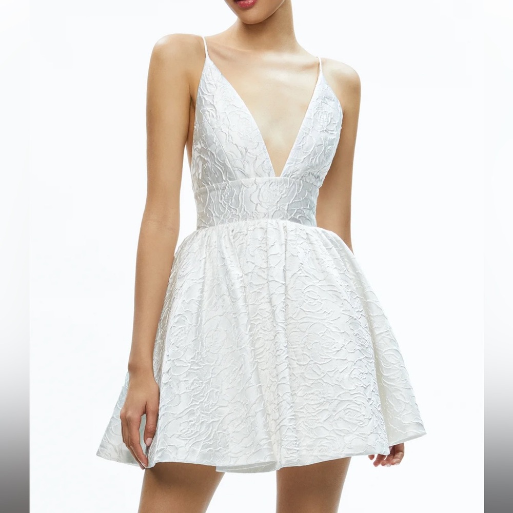 Alice + Olivia Ella Mae dress